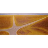 Jesus Lives - Churches in Newark