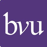 Business Volunteers Unltd - Business Consulting in Cleveland