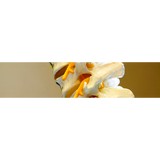 Hess Chiropractic - Chiropractors in Columbus