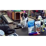The Pet Bowl - Other in Springboro