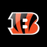Cincinnati Bengals, Inc - Sports Clubs in Cincinnati