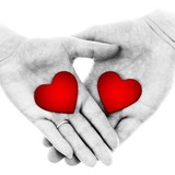 Life Share Cmnty Blood Service - Other in Wellington