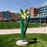 Akron Children's Hosp Psych - Child Care & Day Care in Akron
