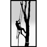 F & D Landscaping & Tree Service - Landscape Architects in Cincinnati