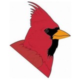 Cardinal Self Storage - Self Storage in Dublin