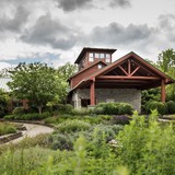 Culinary Vegetable Institute - Restaurants in Milan