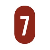 Level 7 - Business Consulting in Independence