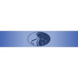 Schoenman Kirk DC - Chiropractors in Columbus