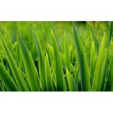 Mike Ward Landscaping Inc - Landscape Architects in Loveland