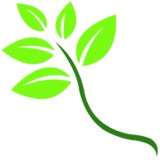 Canton Christian Home - Elderly Services & Elderly Care in Canton