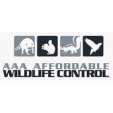 Affordable Wildlife Control - Pest Control in Madison