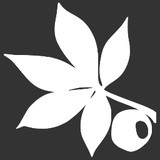 Buckeye Arborist Services Ltd - Tree Services in Columbus