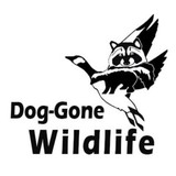 Dog Gone Wildlife - Pest Control in Columbus