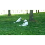 Heritage Vineyard - Other in Warsaw