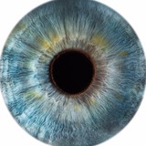 Vision Express Inc - Business Consulting in Millersburg