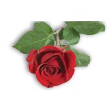 Classic Signs Inc - Manufacturer in Cleveland