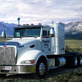 Predator Trucking - Other in Woodville