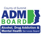Summit County Alcohol Drug Addiction And Mental Health Services Board - Business Consulting in Akron
