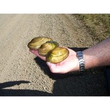 Meigs Soil And Water Conservation - Other in Pomeroy