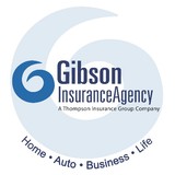 Gibson P L-Governor Agency Inc - Insurance in Vienna Center