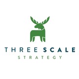 Three Scale Strategy, LLC - Business Consulting in Columbus