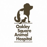 Oakley Square Animal Hospital - Veterinarians/Vets in Cincinnati