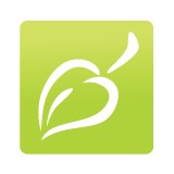 Think Vine LLC - Marketing in Cincinnati