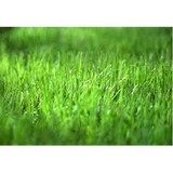 Mdh Property Care LLC - Other in Valley City