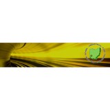 Hamilton Safety Council - Driving Lessons in Hamilton