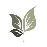 Hoen's Greenhouse & Garden Center - Other in Holland