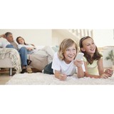 Wolf & Wolf Enterprises Inc - Pest Control in Canton