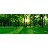 Tree King Tree Service Inc - Other in Pataskala