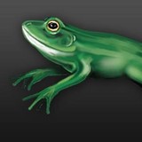 Cash Flow Solutions Inc - Business Consulting in Oxford