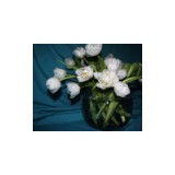 Petals On Park Avenue - Florists in Cincinnati