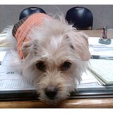 Wenger Temperature Control - Heating & Air Conditioning / HVAC in Columbus