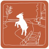 Crazy Goat Coffee - Cafes in Columbus