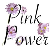 Pink Power Cleaning - Cleaning Services in Troy