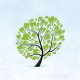 Woodlawn Dental Center Inc - Dentists in Cambridge