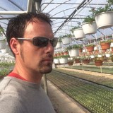 Maplestone Ornamentals - Other in Alliance