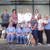 Montgomery Animal Hospital - Veterinarians/Vets in Cincinnati