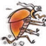 Grace Exterminating Inc - Pest Control in Warren