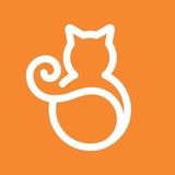 Cats Only Veterinary Clinic - Animal Hospitals in Columbus