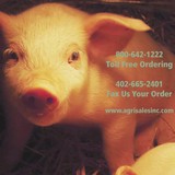 Mikes Montes LLC - Other in Versailles