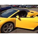 Amh Exotic Parts - Other in Galloway