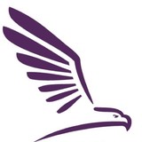 Avon Finance Director - Other in Avon