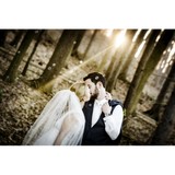 Cirino Photography - Other in Willoughby
