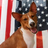 The Hound Hut - Pet Groomers in Columbus