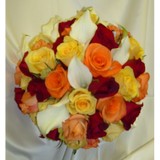 Oasis Interior Plantscapes - Florists in Cincinnati