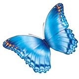 Children's Close To Home Phys - Medical Centers in Columbus