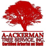 Aackerman Tree Service - Landscape Architects in Dayton